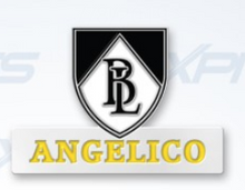 Load image into Gallery viewer, Angelico - House Lapel Pin