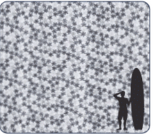 Load image into Gallery viewer, Polo - Petals - Black
